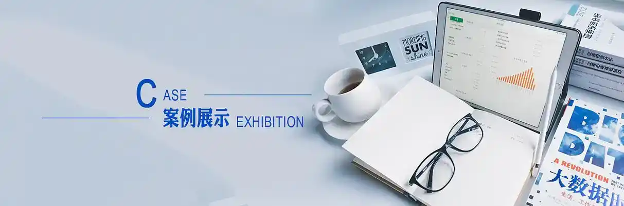 拜城县软件开发